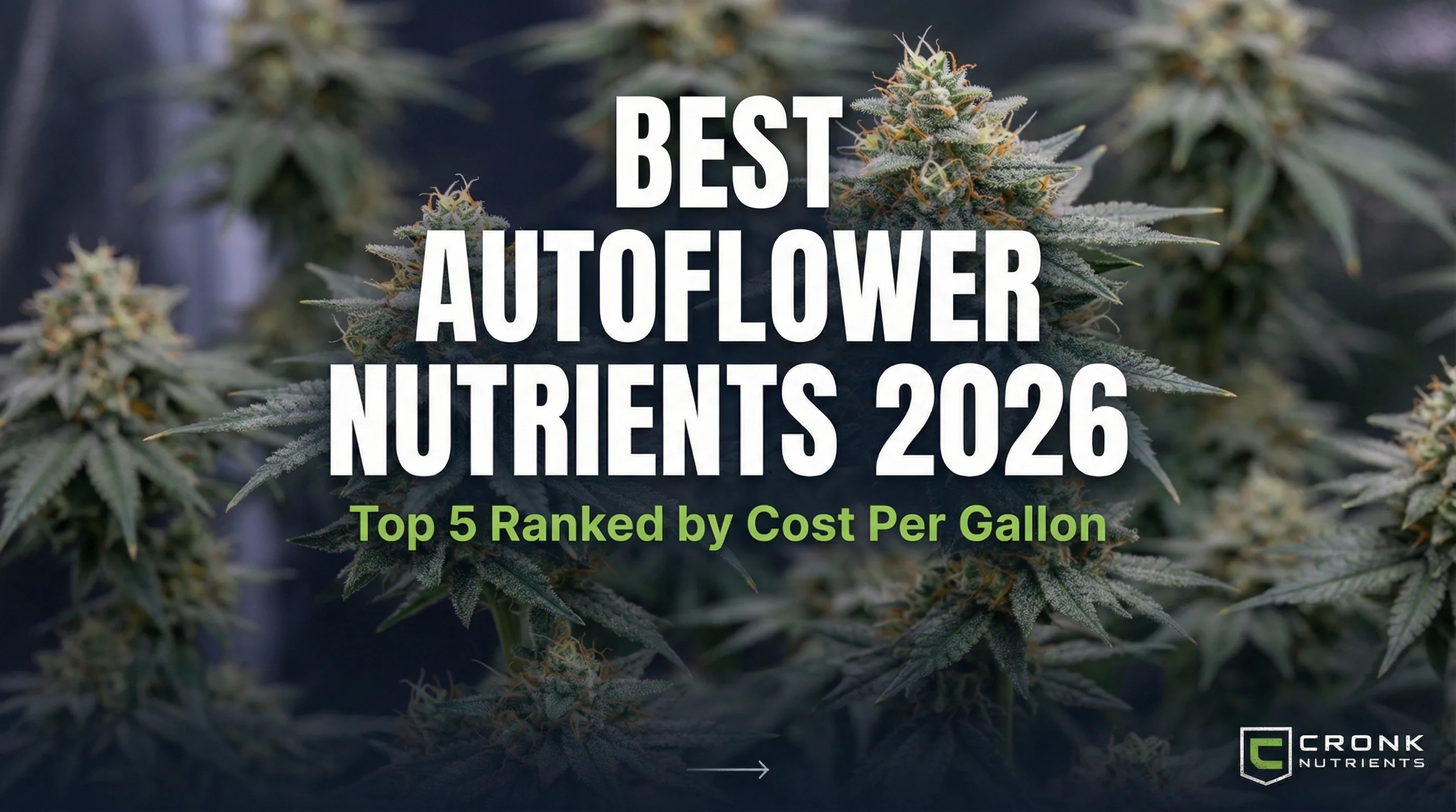 Best autoflower nutrients 2026 comparison guide - Cronk Nutrients