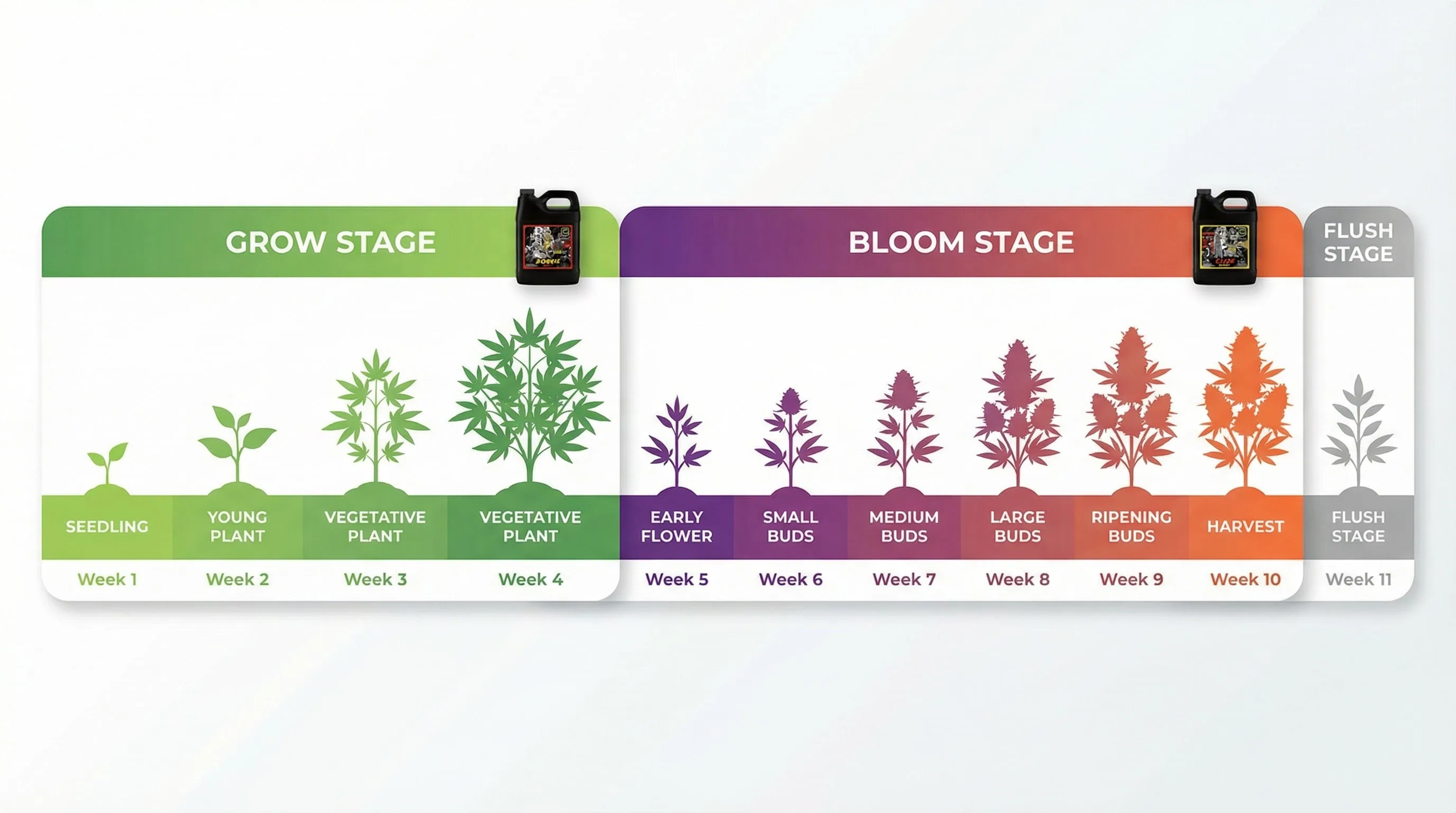 Timeline showing Bonnie usage during weeks 1-4 vegetative and Clyde usage during weeks 5-10 flowering